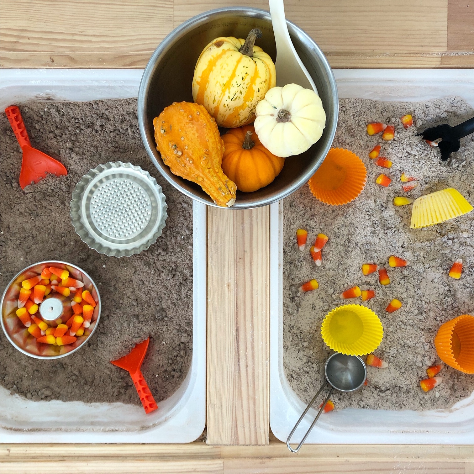 10 Fall Sensory Bins For Kids