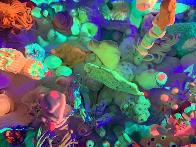 Glow in the dark coral sculpture
