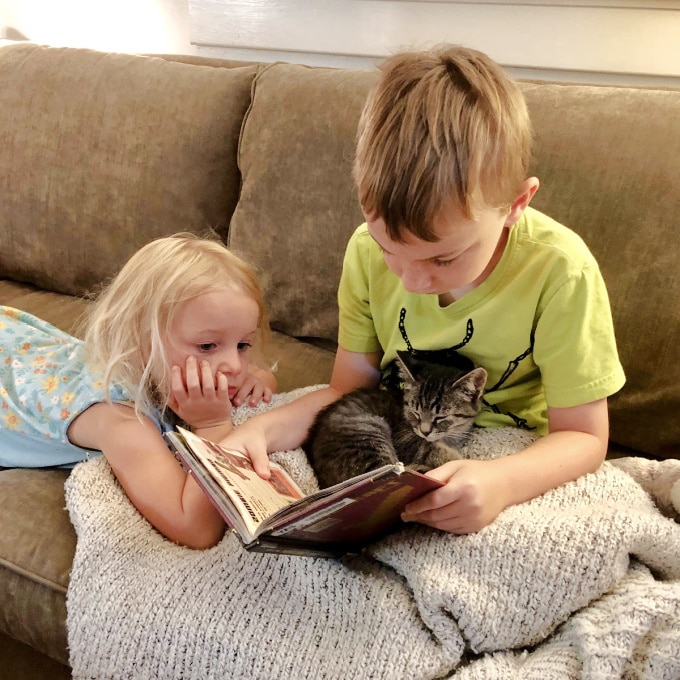 Children and kitten reading book together