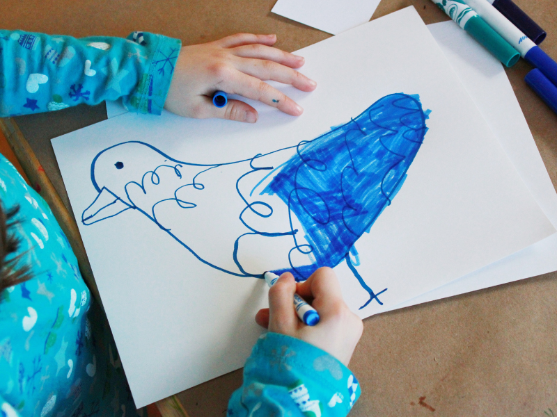 drawing a bird