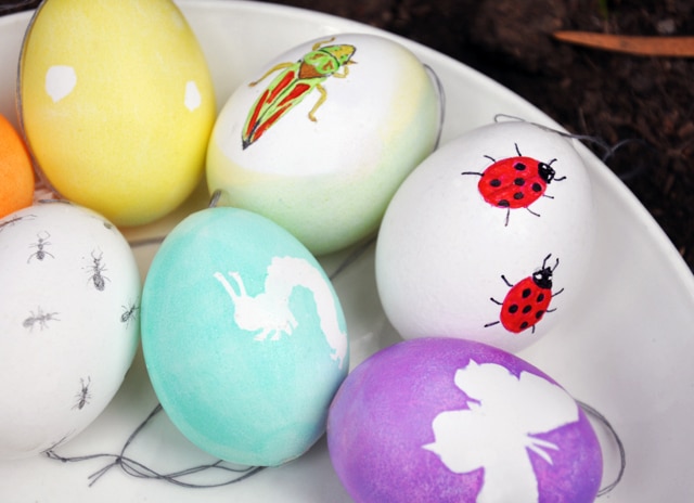 egg decorating ideas from nature