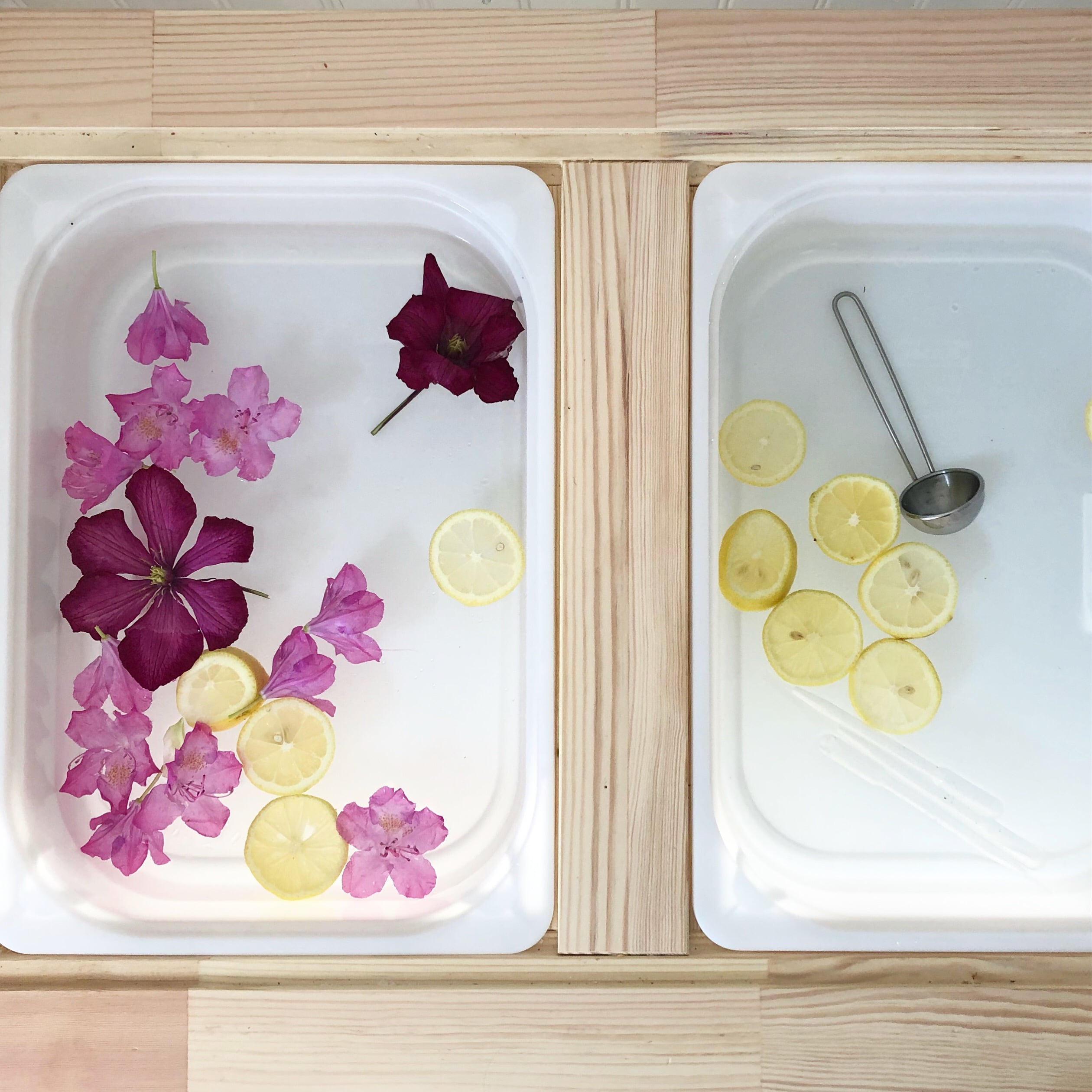 Water play table with citrus and flowers