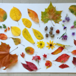 fall craft ideas featured