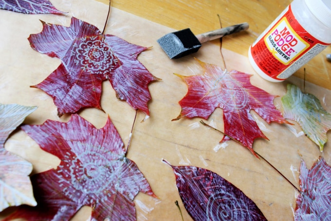 preserving leaves with mod podge