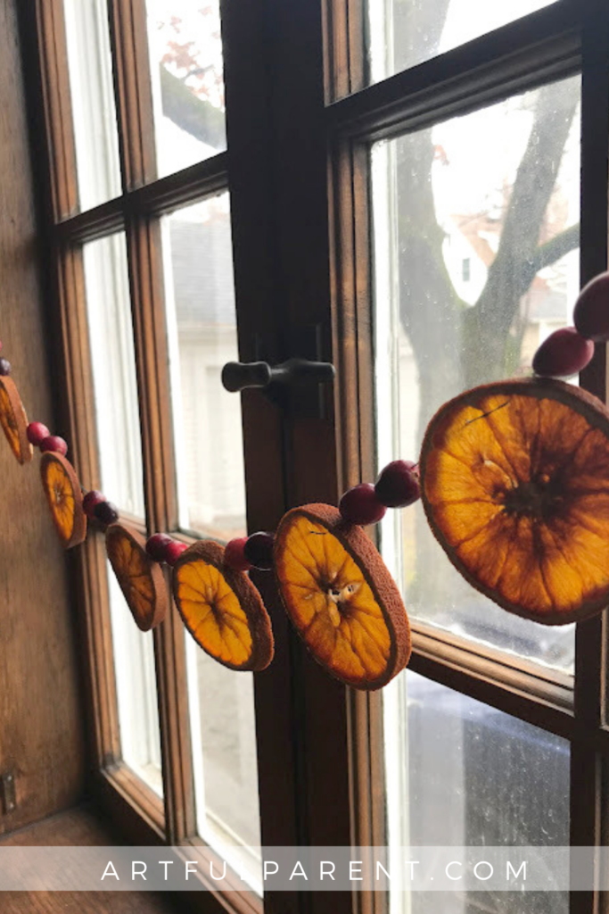 How to Dried Orange and Cranberry Garland_PInterest
