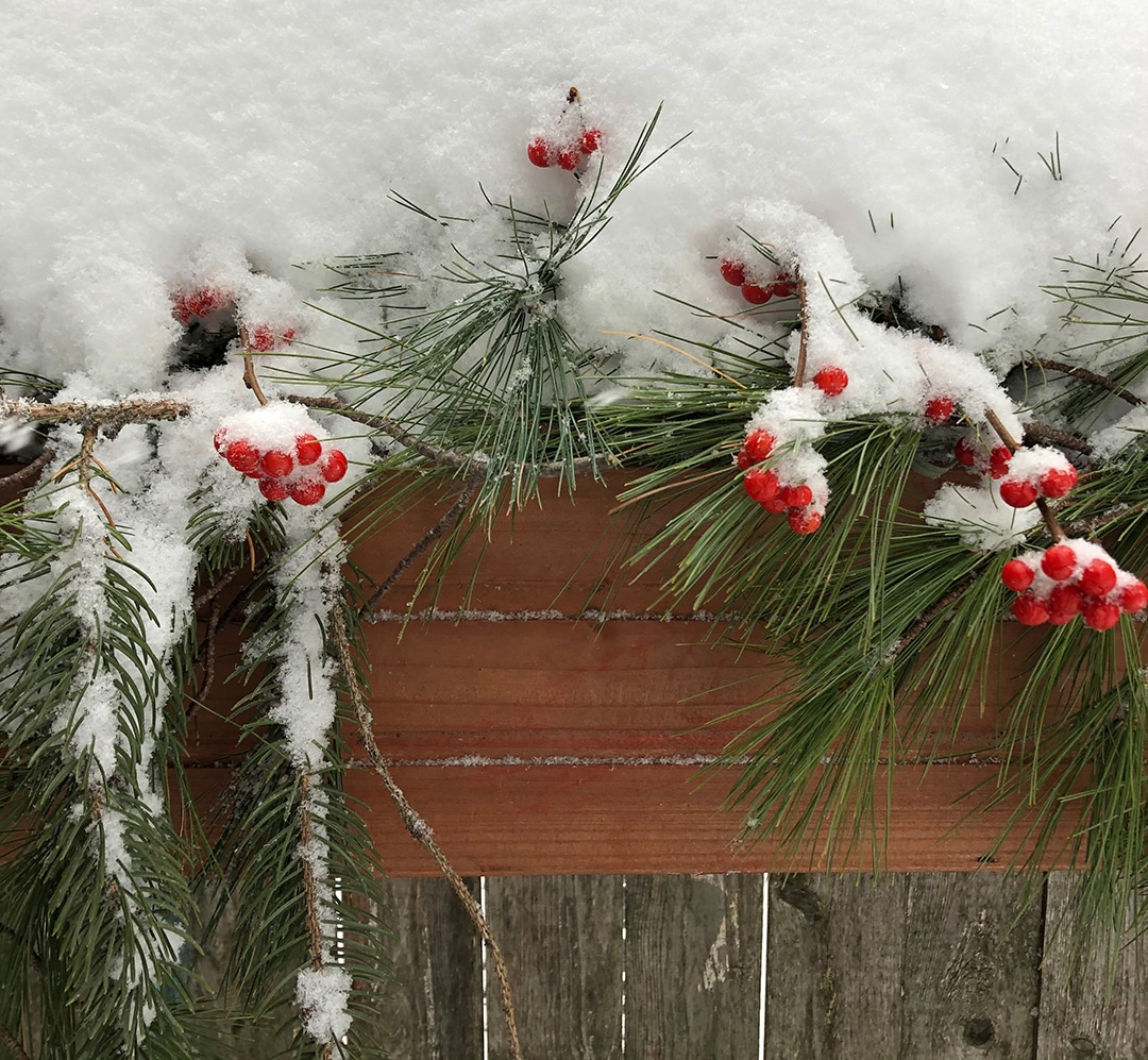 5 Natural Christmas Decorations for Kids - The Artful Parent