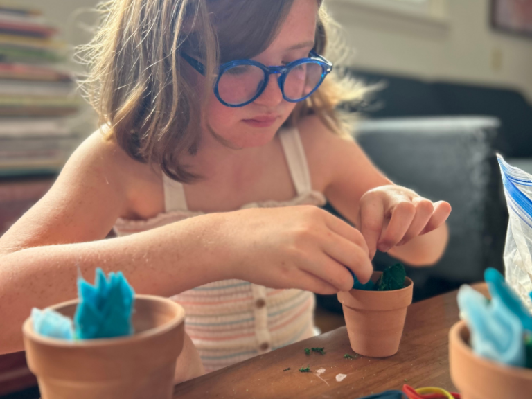 rolling succulents