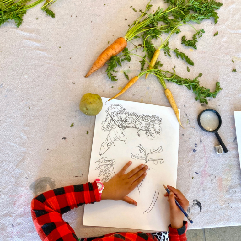 drawing vegetables