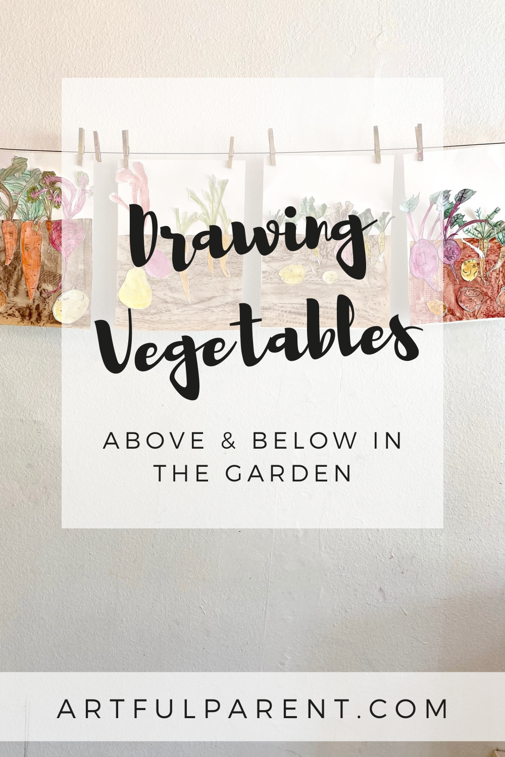 Drawing Vegetables: Above & Below in the Garden