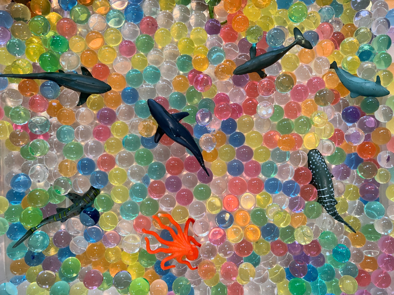 water beads with sharks