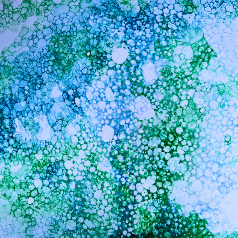bubble snake print