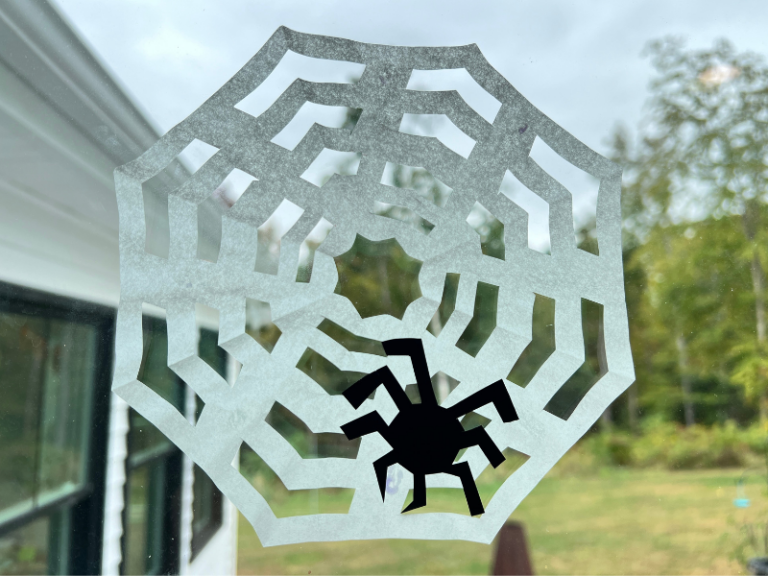 coffee filter spiderweb