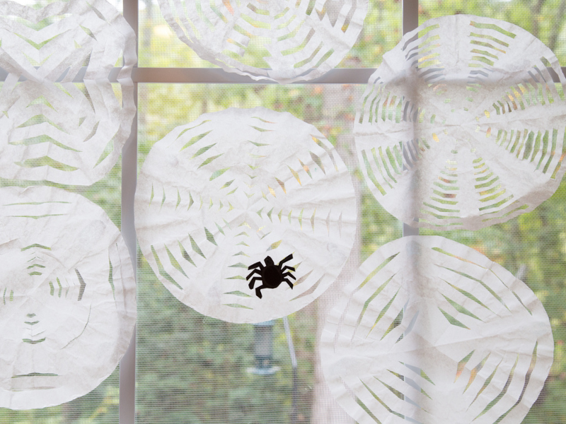 coffee filter spiderwebs