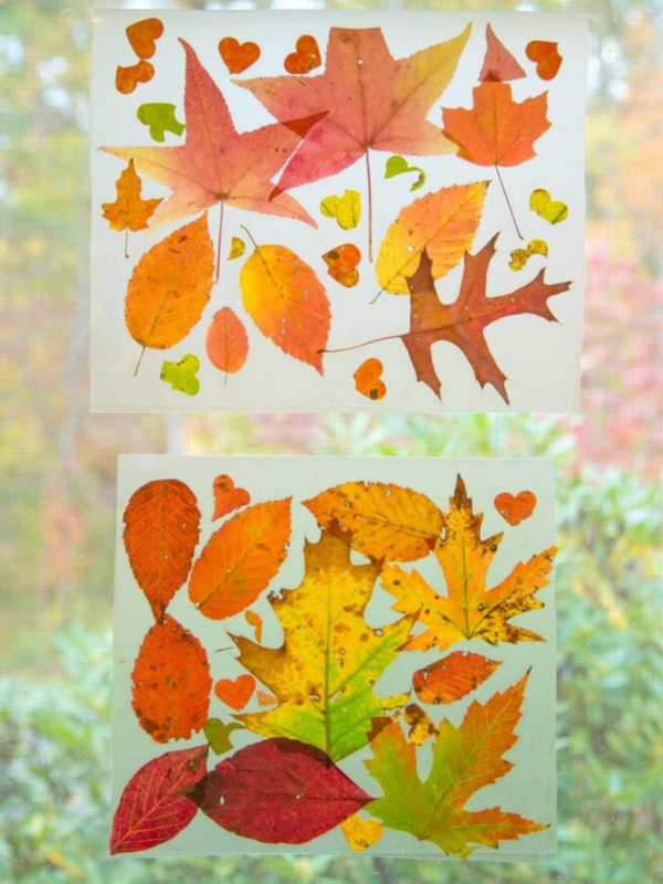 How To Make A Leaf Suncatcher For Kids