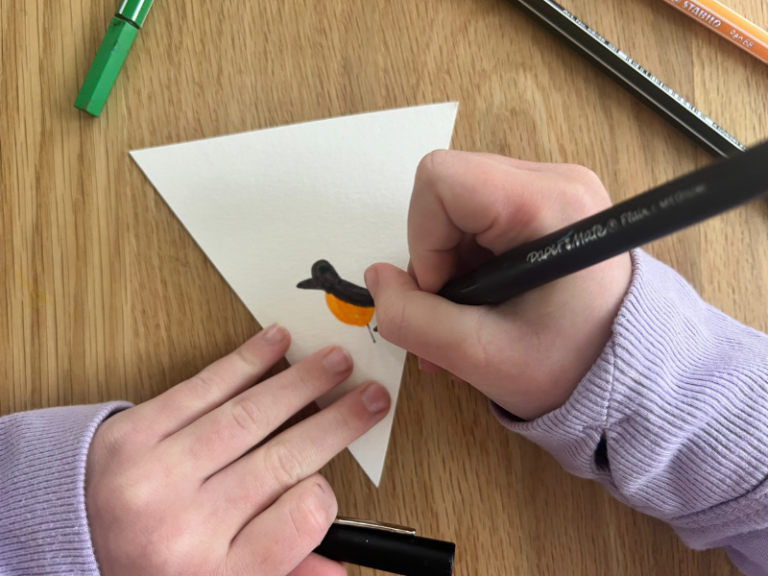 drawing a bird