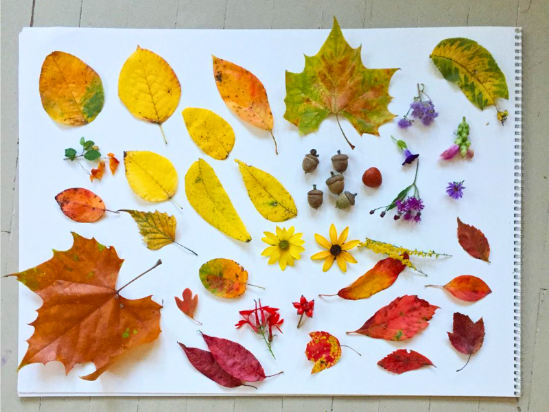 24 Fall Leaf Art Projects for Kids - Fantastic Fun & Learning