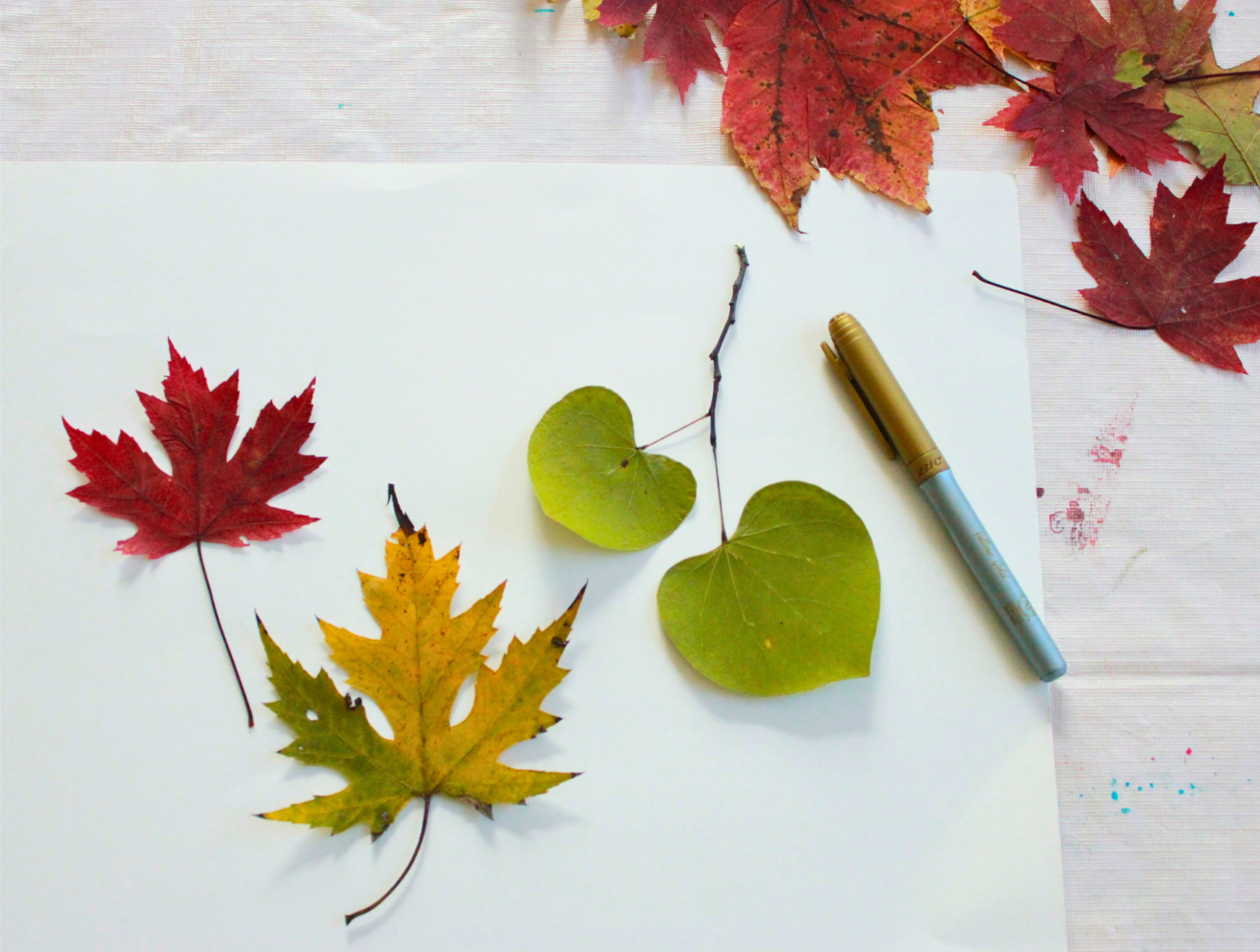 12 Creative Fall Craft Ideas for Kids