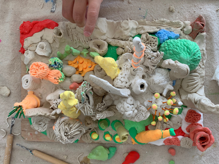 making clay coral reef