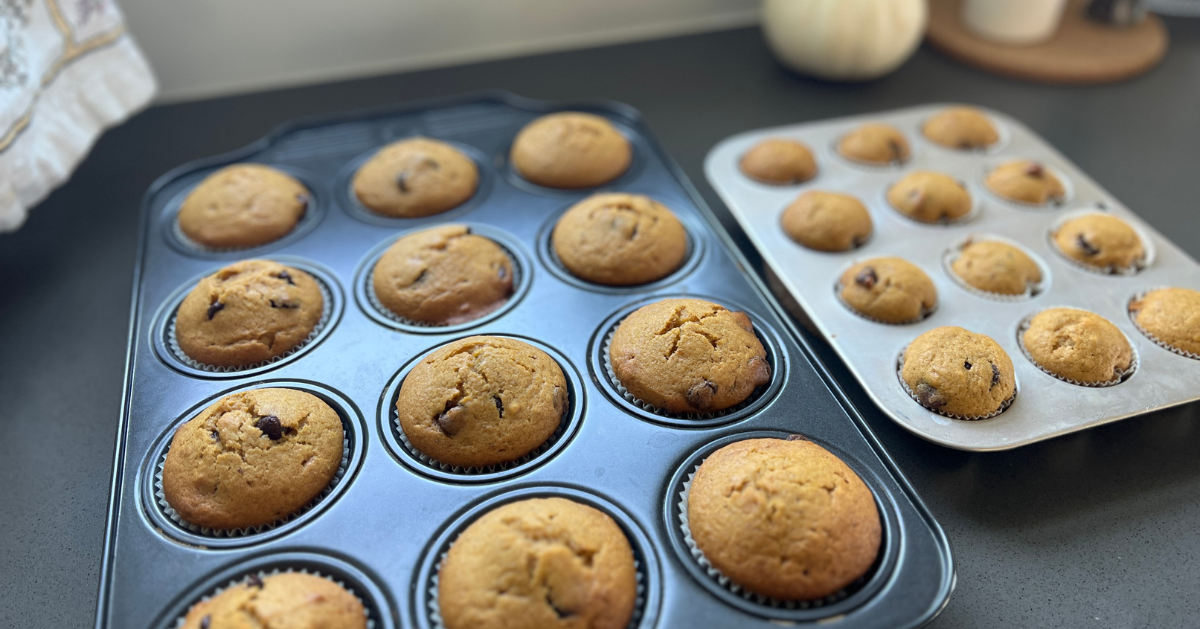 The Best Pumpkin Chocolate Chip Muffin Recipe