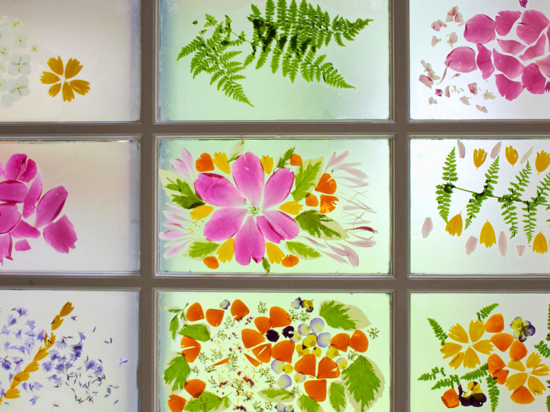 flower stained-glass featured