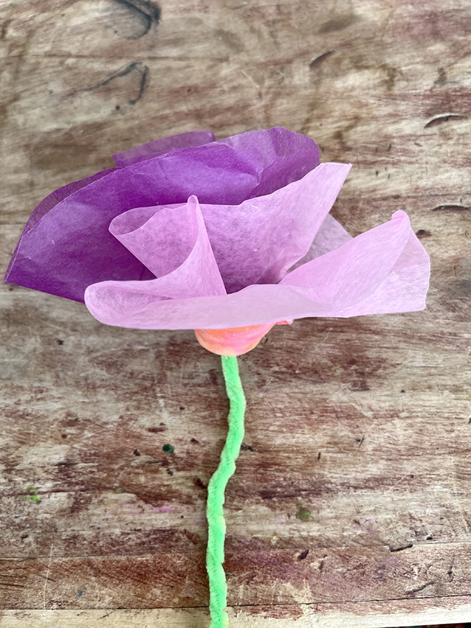 glue tissue paper to flower