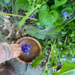 Garden Crafts for Kids