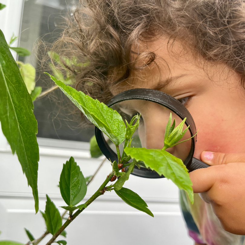 child using magnifying glass