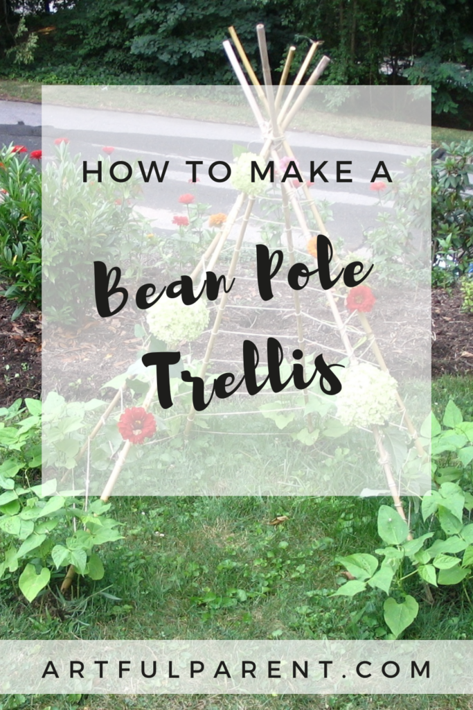 bean pole trellis