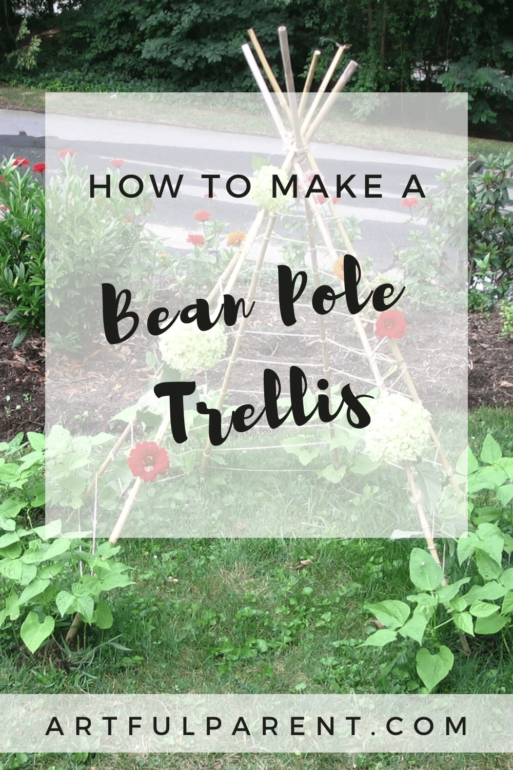 How to Make a Bean Pole Trellis for a Kids\' Garden