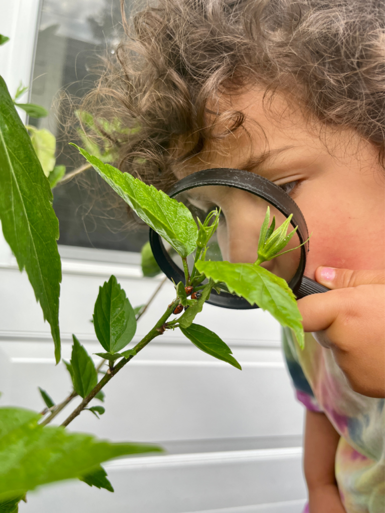child using magnifying glass