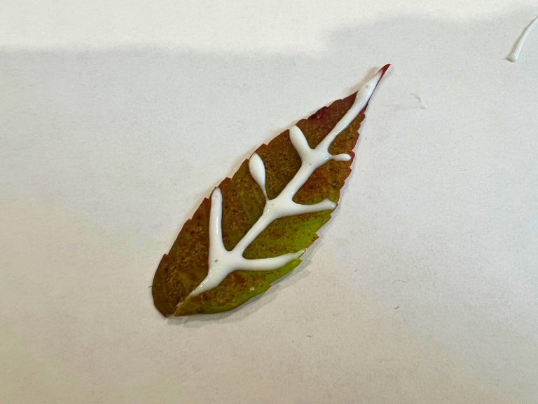 glue on leaf veins