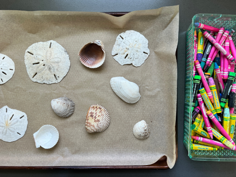 shells and crayons