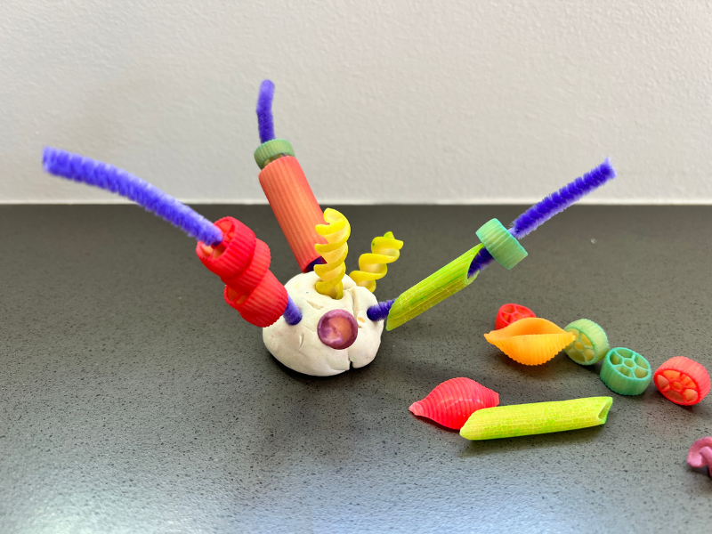pasta sculpture