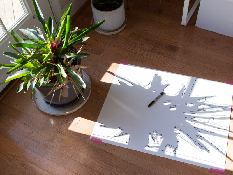 shadow art