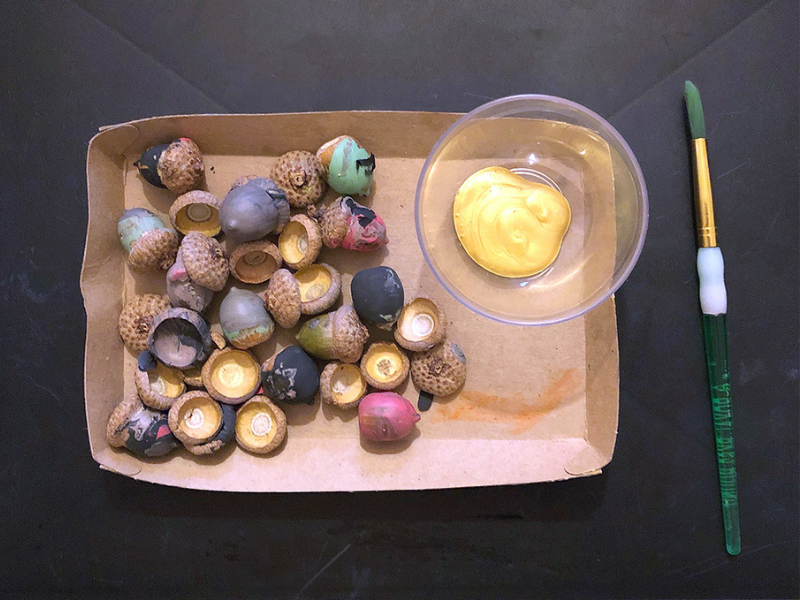 painting acorns