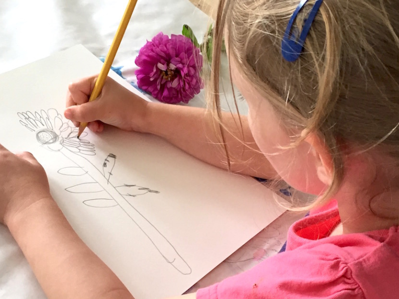 drawing a flower