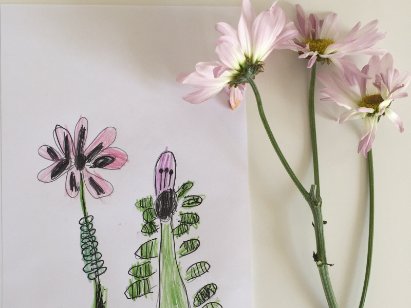 drawing flowers