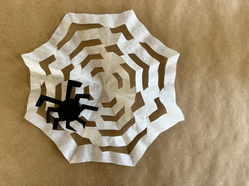 spider web coffee filter