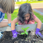 Kids gardening