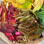 crafts with leaves featured