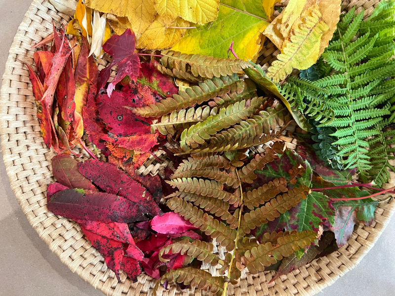 crafts with leaves featured