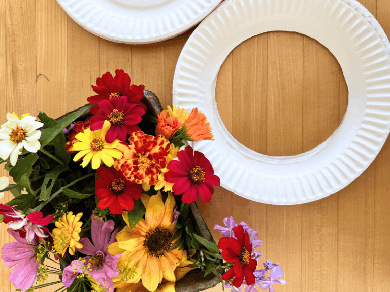 flowers and paper plate