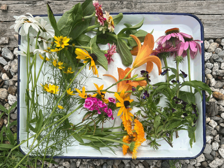 flowers on tray