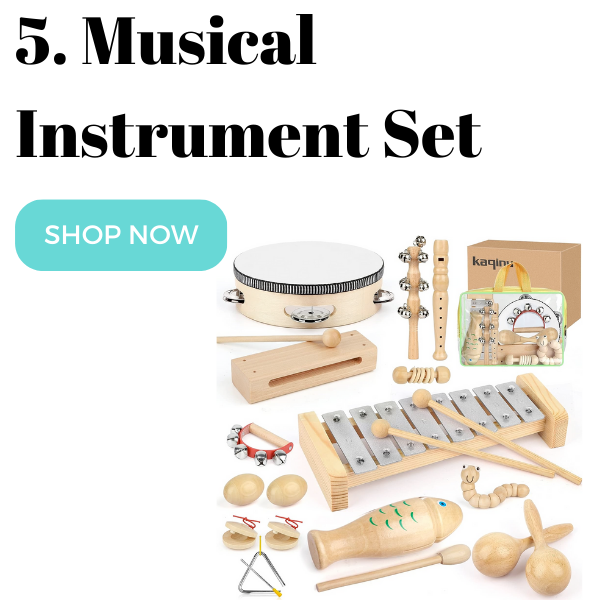 5. Musical Instrument Set