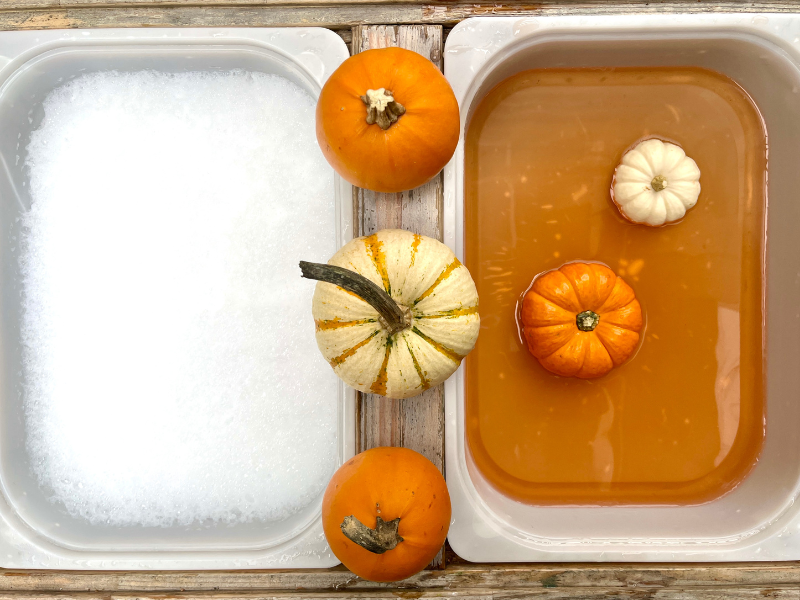 pumpkin sensory bin