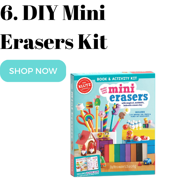 DIY Erasers Kit