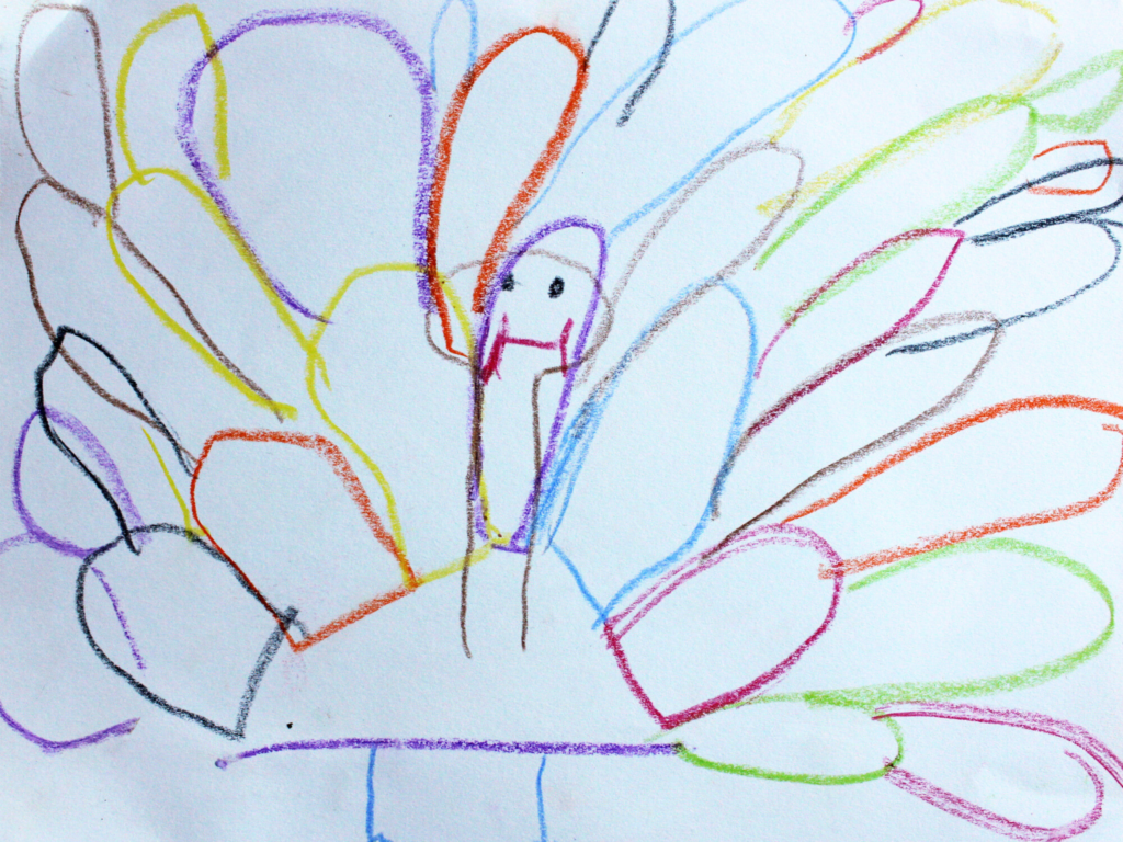 drawn turkey