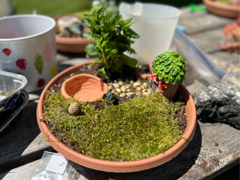fairy garden in pot
