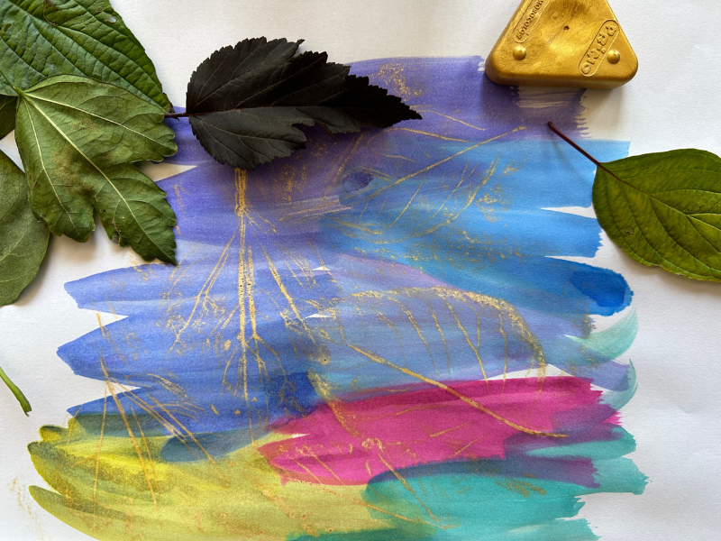 leaf rubbings