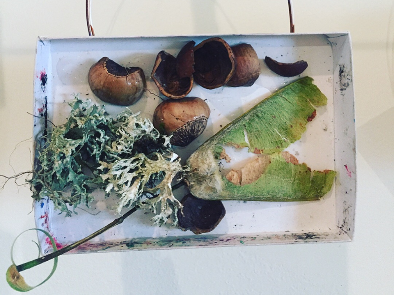 nature diorama